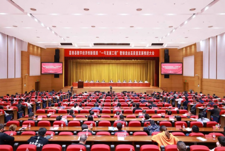 全力打造工業(yè)強縣升級版!嘉善這樣干→
